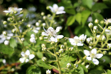 Similar image 22203608