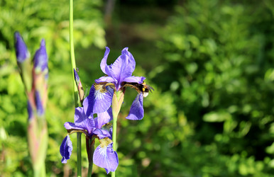 Similar image 22203609