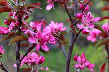 Similar image 22203610