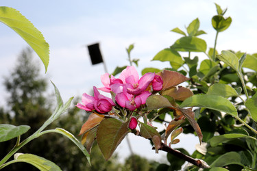 Similar image 22203612