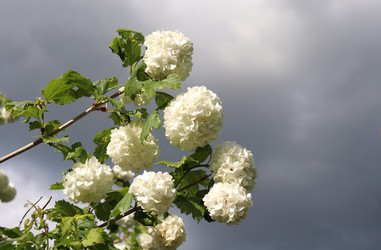 Similar image 22203613