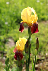 Similar image 22203616