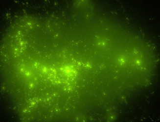 Similar image 22198939