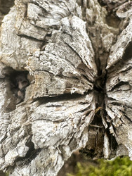 Similar image 22200752