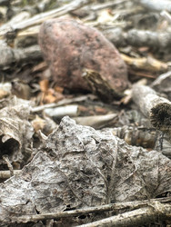 Similar image 22200753