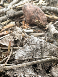 Similar image 22200547