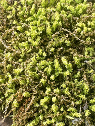 Similar image 22200549