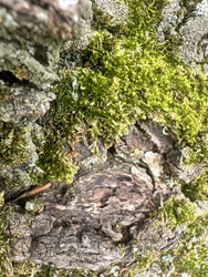 Similar image 22200550