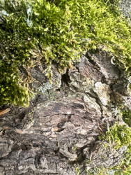 Similar image 22200551