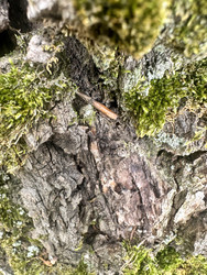 Similar image 22200552