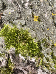 Similar image 22200553