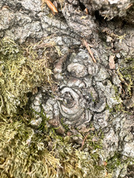 Similar image 22200554