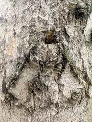 Similar image 22200555