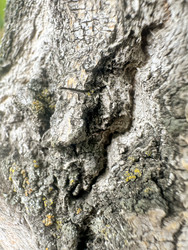 Similar image 22200556