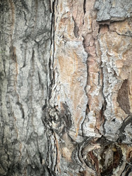 Similar image 22200557