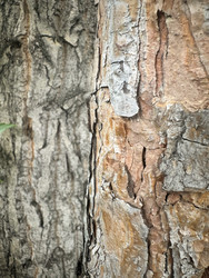 Similar image 22200558