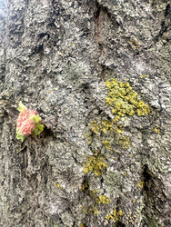 Similar image 22200560