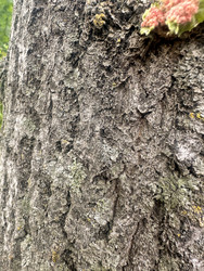 Similar image 22200561