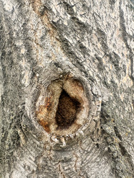 Similar image 22200562