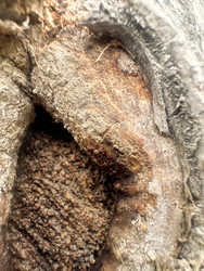 Similar image 22200754