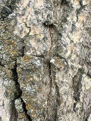 Similar image 22200755