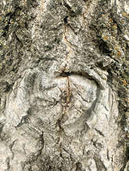 Similar image 22200756