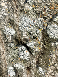 Similar image 22200757