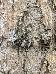 Similar image 22200759