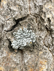 Similar image 22200760