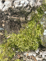 Similar image 22200761