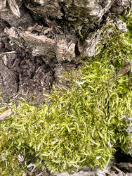 Similar image 22200762