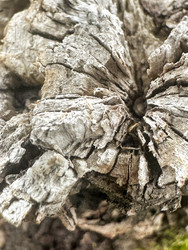 Similar image 22200763