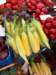 Similar image 22199765