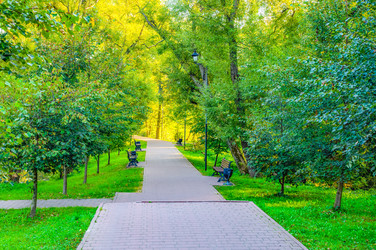 Similar image 22198990