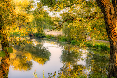 Similar image 22198993