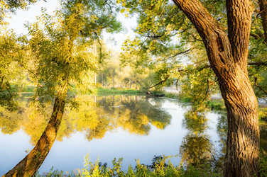 Similar image 22198994