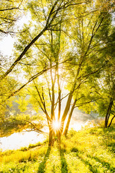 Similar image 22198995