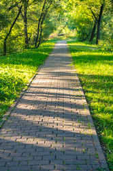 Similar image 22198997