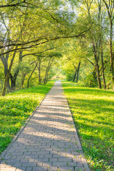 Similar image 22198998