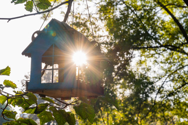 Similar image 22198999