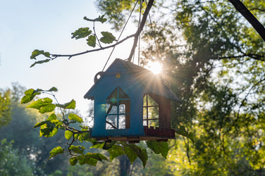 Similar image 22199000