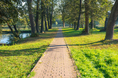 Similar image 22199007