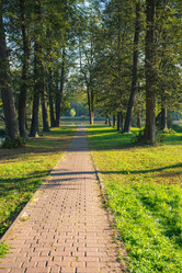 Similar image 22199008