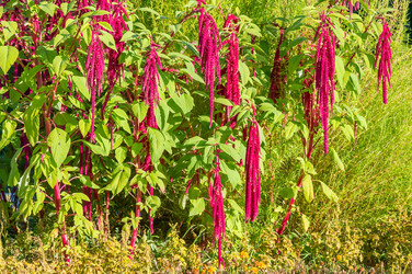 Similar image 22199015