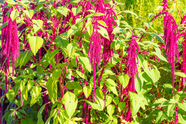 Similar image 22199017