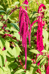 Similar image 22199018