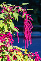 Similar image 22199021