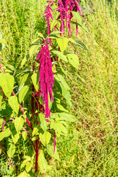 Similar image 22199022