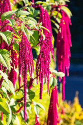 Similar image 22199023