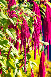 Similar image 22199024